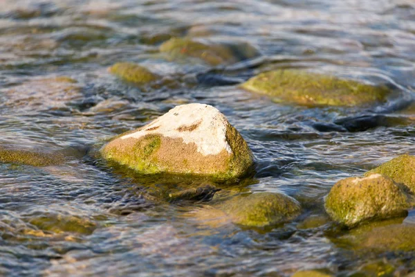 Piedras en el río como telón de fondo —  Fotos de Stock