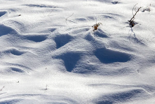 背景として自然に雪します。 — ストック写真
