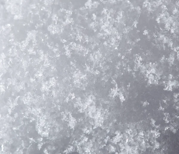 bir fon olarak kar. Makro