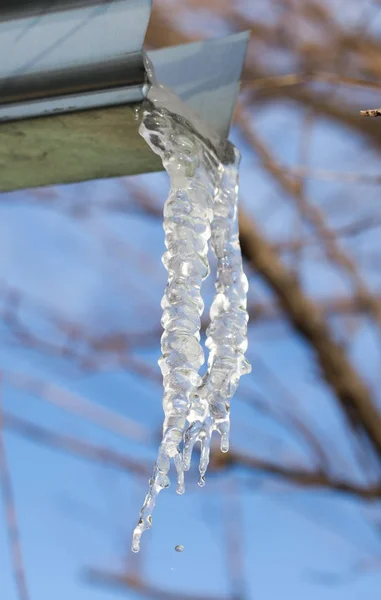 Icicle on a background of blue sky — Stock Photo, Image