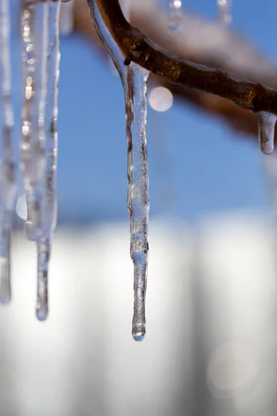 Icicle on a background of blue sky — Stock Photo, Image