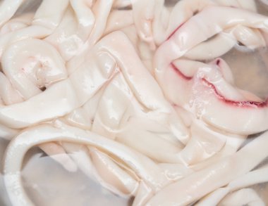 arka plan olarak kalamar Marine