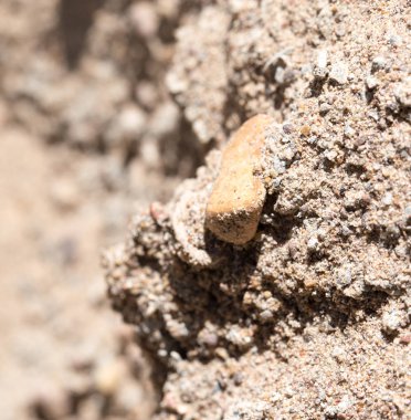 arka plan çakıl ve kum