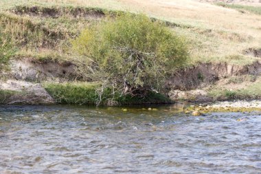 dağ nehir taşları ile