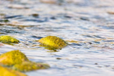 nehir bir zemin olarak içinde taşlar