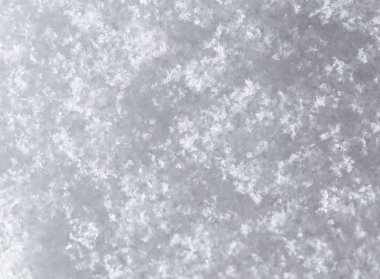 bir fon olarak kar. Makro