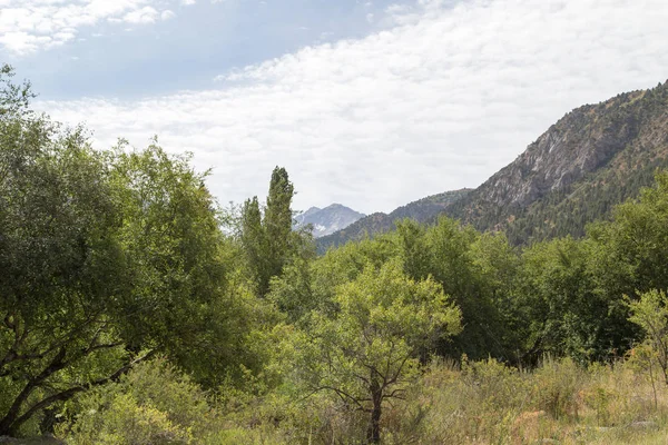 Laderas de las montañas en Kazajstán — Foto de Stock