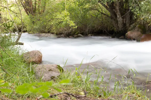 Beautiful river in the mountains — Stock Photo, Image