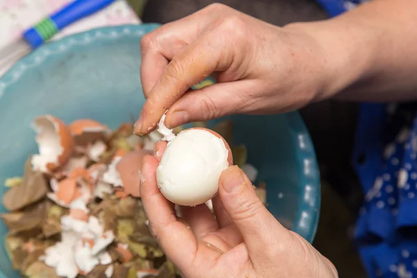 Kadın yumurta temizler — Stok fotoğraf