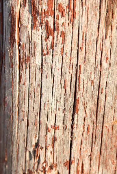 Stary drewniany płot jako tło — Zdjęcie stockowe