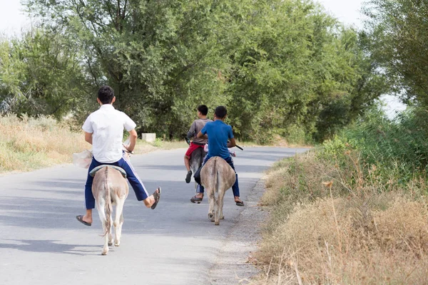 Trois garçons sur un âne promenades sur la route — Photo