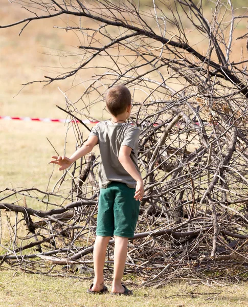 少年は、薪を収集します。 — ストック写真