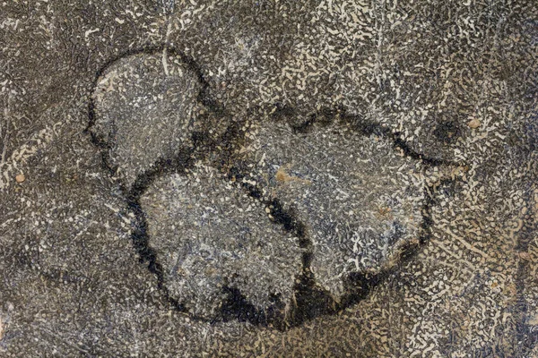 Manchas de água na velha mesa de borracha — Fotografia de Stock