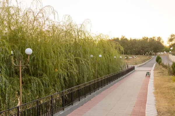 Straße in einem Park bei Sonnenuntergang — Stockfoto