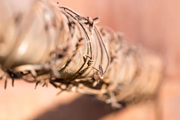 Alambre de púas en tubo — Foto de Stock