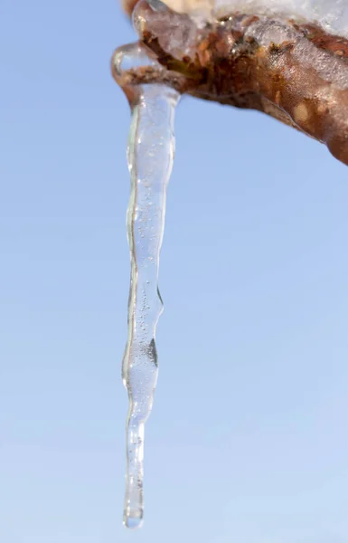 Icicle on a background of blue sky — Stock Photo, Image