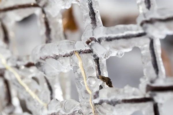 Glace sur la clôture comme toile de fond — Photo