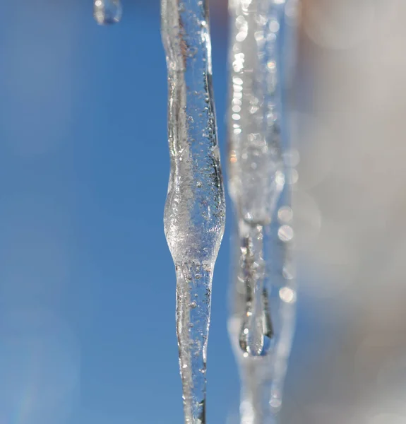 Icicle on a background of blue sky — Stock Photo, Image