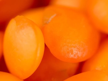 arka plan olarak mercimek. Makro