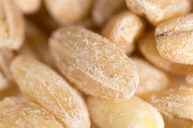 arka plan olarak arpa. Makro