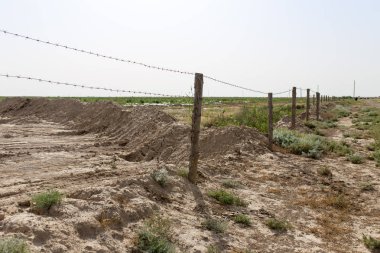 Doğada dikenli tel örgü