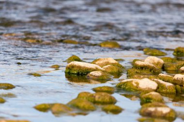 nehir bir zemin olarak içinde taşlar