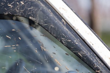 cam araba üzerinde kir