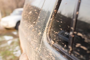 cam araba üzerinde kir