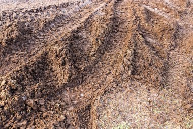 kirli bir yere arabayla üzerinden izlemek