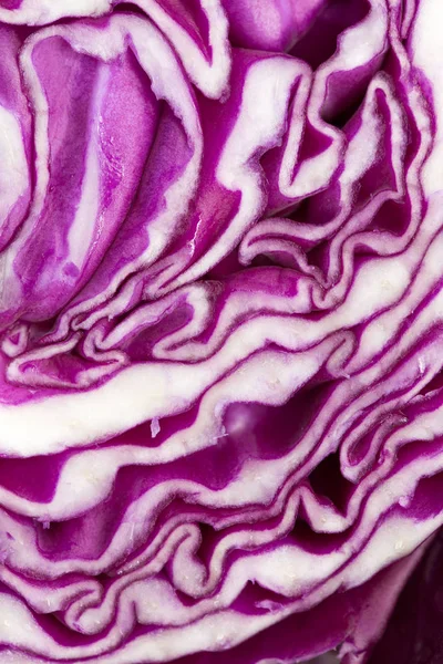 Red cabbage as background — Stock Photo, Image