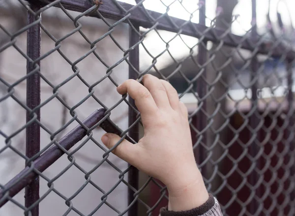 Niños manos en una valla de metal —  Fotos de Stock