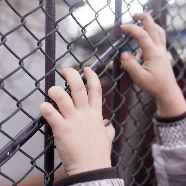 Детские руки на металлическом заборе — стоковое фото