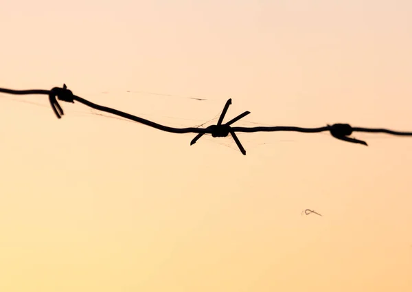 Arame farpado ao pôr do sol — Fotografia de Stock