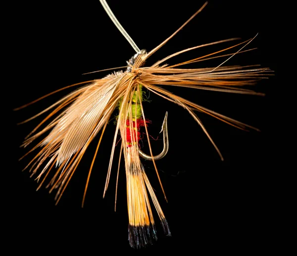 Fly to catch fish on a black background — Stock Photo, Image