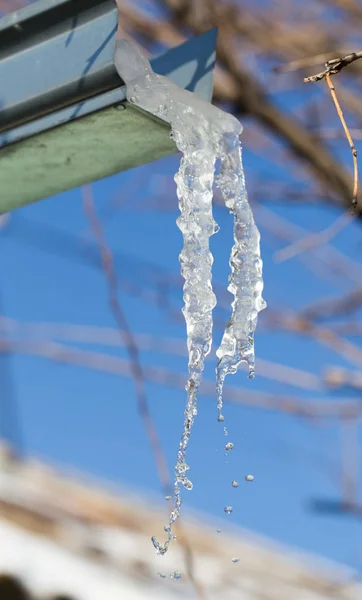 Ijspegel op een achtergrond van de blauwe hemel — Stockfoto