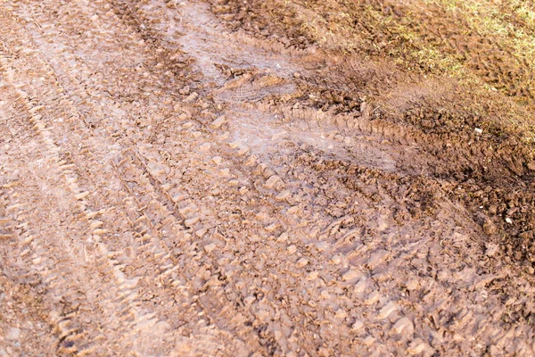 Pista de un coche en un suelo sucio —  Fotos de Stock