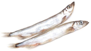 capelin on a white background clipart