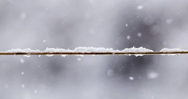 Снег на веревке — стоковое фото