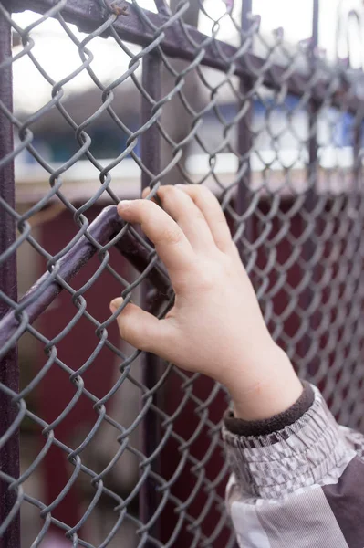 Gyermek kezét a fém kerítés — Stock Fotó