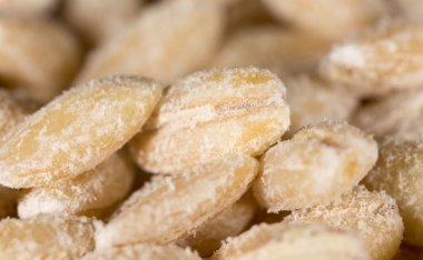 arka plan olarak arpa. Makro