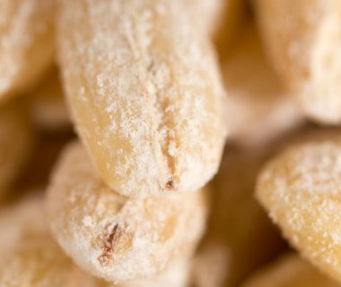 arka plan olarak arpa. Makro