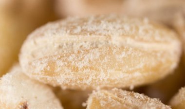 arka plan olarak arpa. Makro