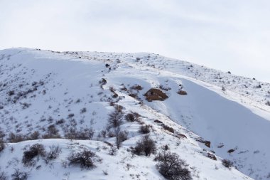 doğada karlı dağlar