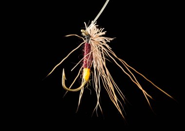 Siyah arka planda balık yakalamak için uç