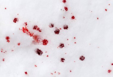 kar üzerinde kırmızı kan