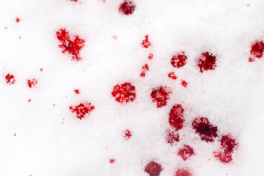 kar üzerinde kırmızı kan