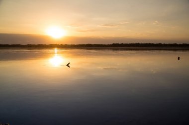 Sunset bulvarında bir zemin olarak göl