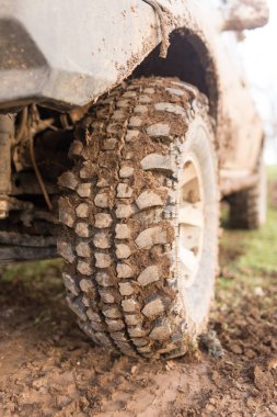 kirli lastik Suv doğada