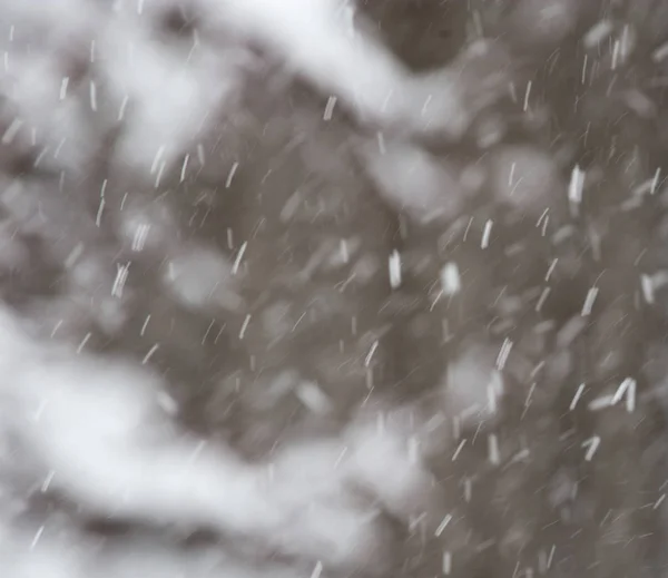 Nieve en el aire como fondo — Foto de Stock