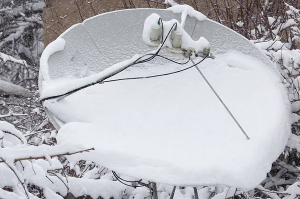 Nieve en la antena parabólica —  Fotos de Stock